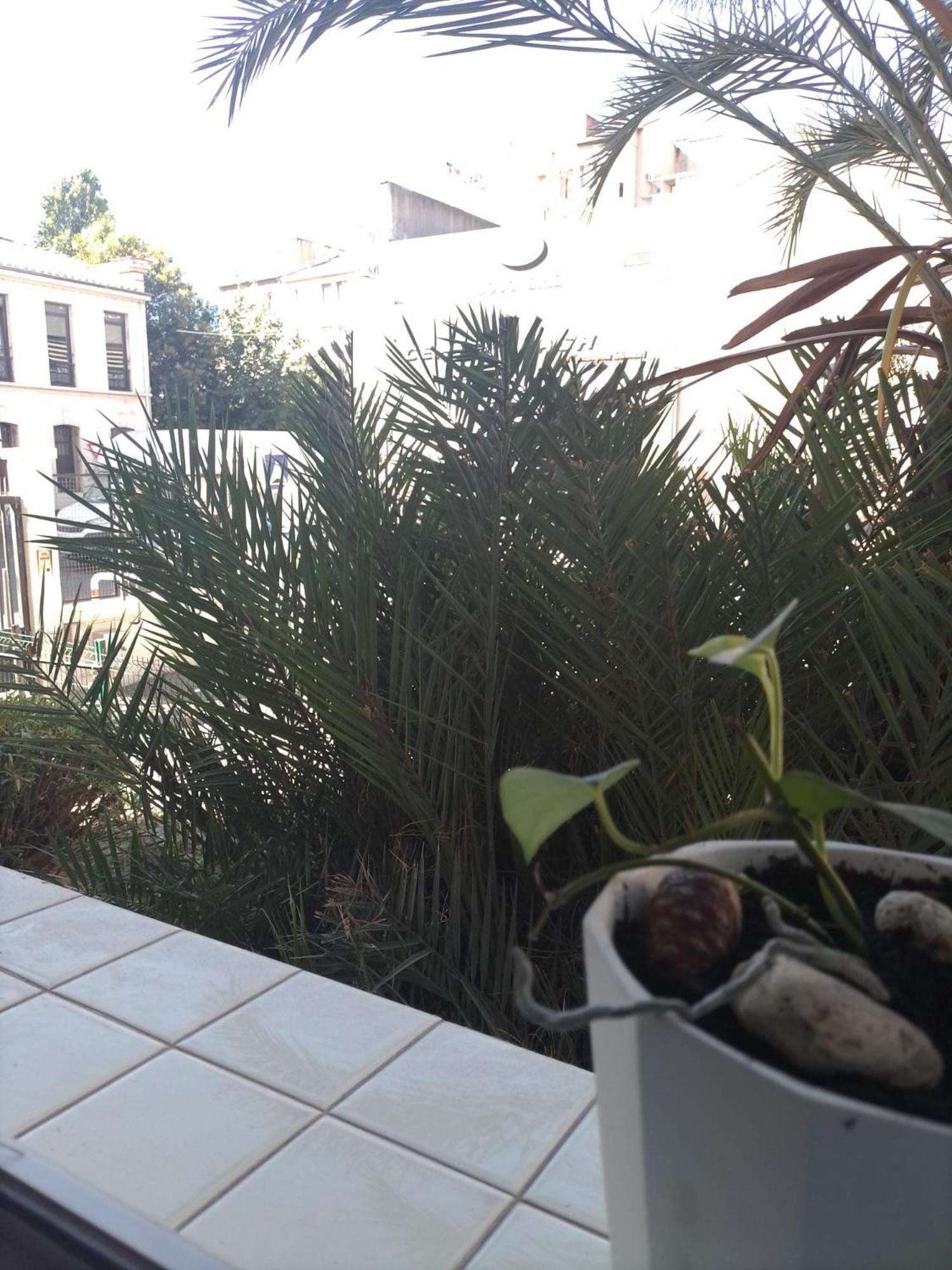 Chambre Stella Marseilles Exterior foto